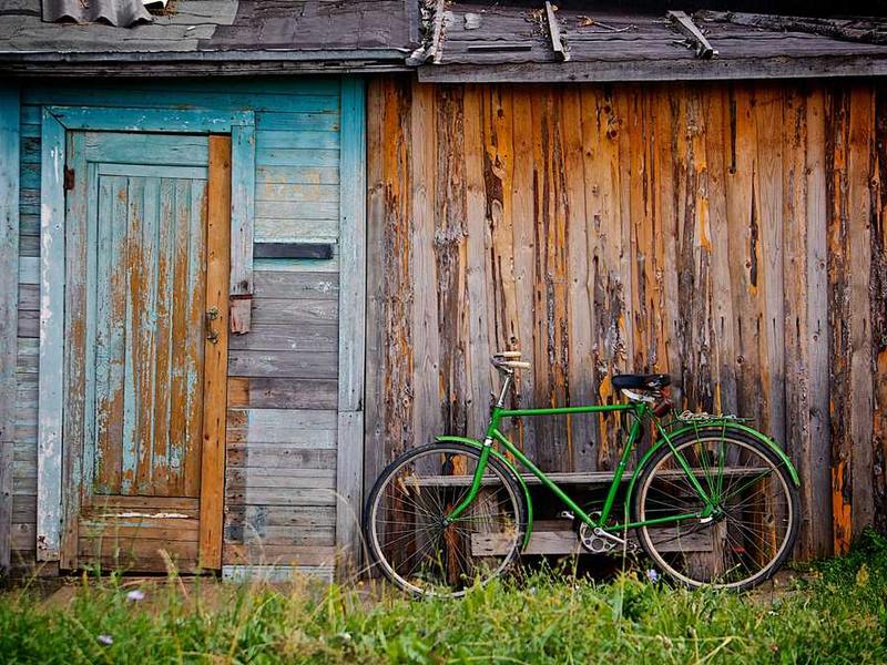 Market Demand and Trend Analysis