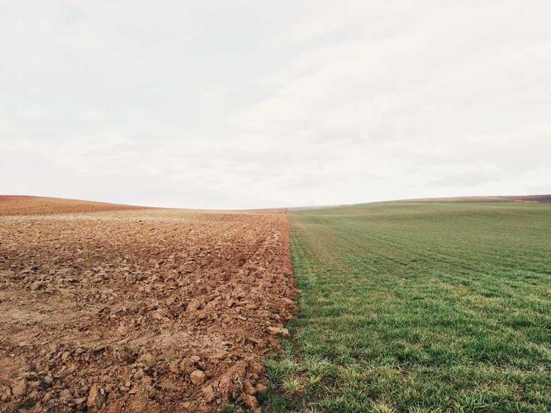 Competitive Landscape Analysis
